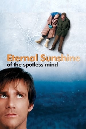 Eternal Sunshine Of The Spotless Mind 2004 Hindi Dual Audio 1080p BluRay [1.8GB] - Movierulz