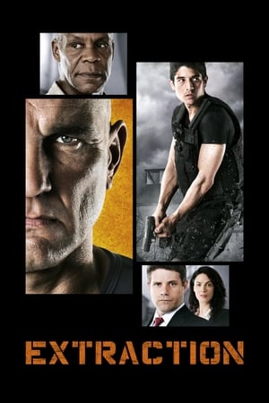 Extraction 2013 Hindi Dual Audio 480p WebRip 330MB - Movierulz