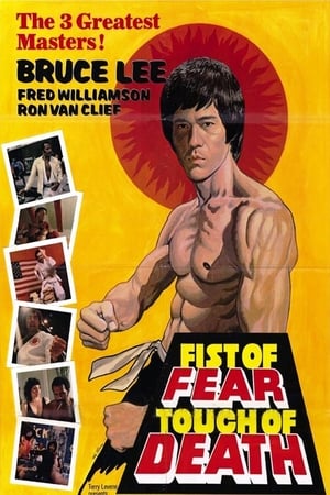 Fist of Fear Touch of Death 1980 Hindi Dual Audio 480p DVDRip 300MB - Movierulz
