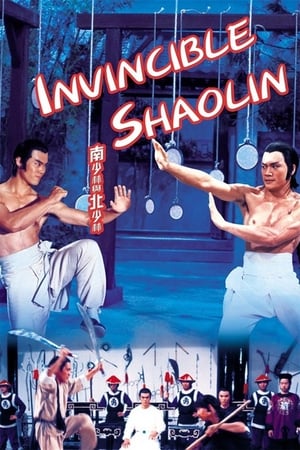 Invincible Shaolin 1978 Hindi Dual Audio 720p BluRay [1.3GB] - Movierulz