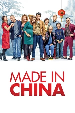 Made in China (2019) Hindi Movie 720p HDRip x264 [930MB] - Movierulz