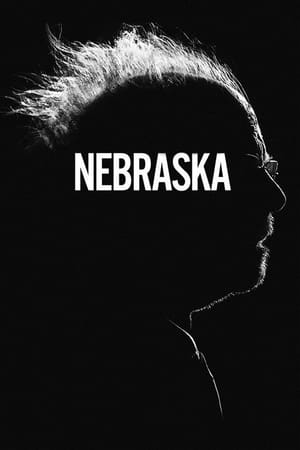 Nebraska 2013 Dual Audio Hindi 480p BluRay 300MB - Movierulz