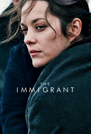 The Immigrant (2013) Hindi Dual Audio 480p BluRay 300MB - Movierulz
