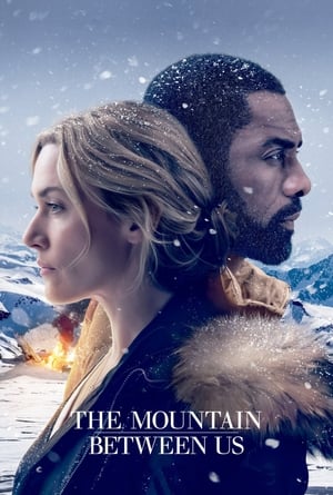 The Mountain Between Us 2017 Dual Audio Hindi 720p Bluray [1GB] - Movierulz
